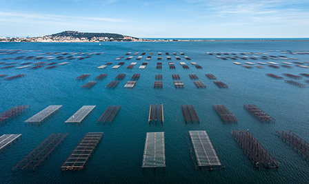 源頭采購(gòu)，真材實(shí)料